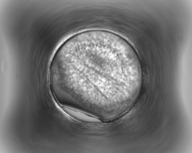 X0000085751527200704091307