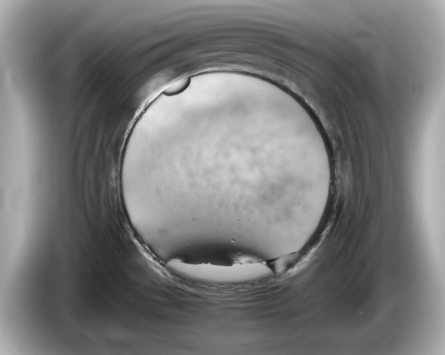 X0000085751529200704091307