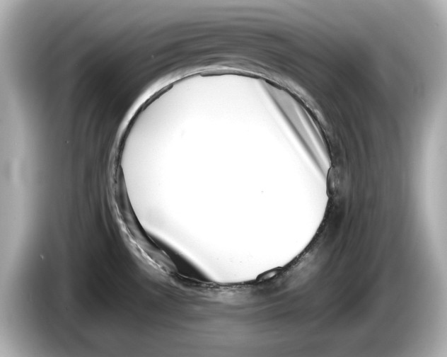 X0000085751530200704091307