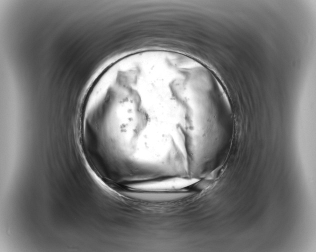 X0000085751531200704091307