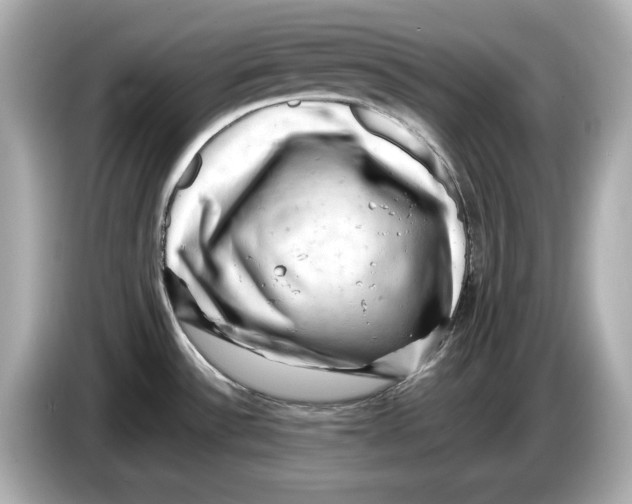 X0000085751532200704091307