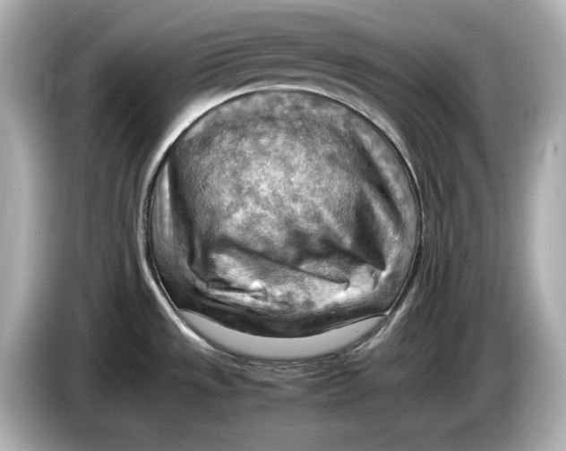 X0000085751533200704091307