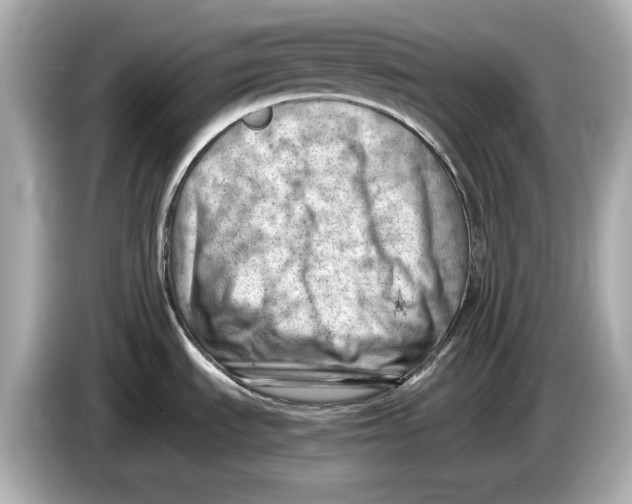 X0000085751535200704091307