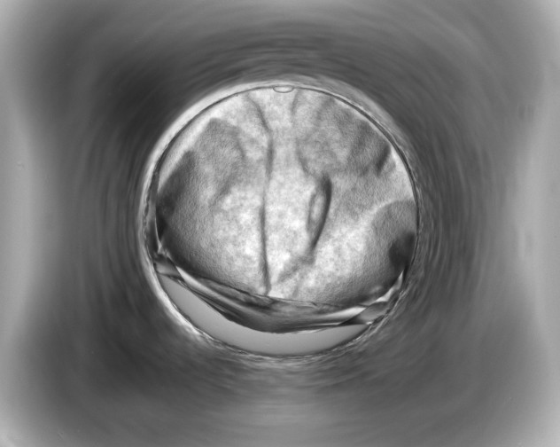 X0000085751536200704091307