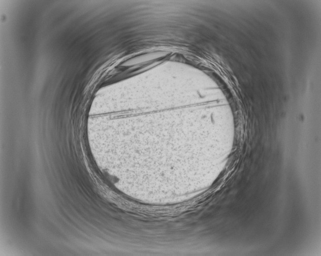 X0000085750001200704131724