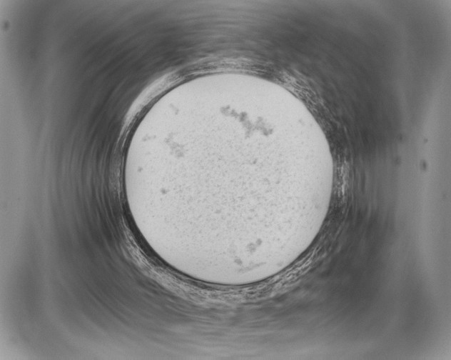 X0000085750004200704131724