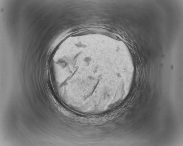 X0000085750005200704131724