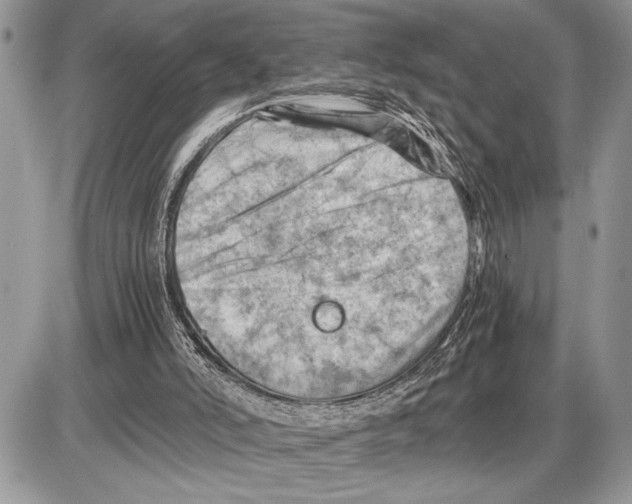 X0000085750006200704131724