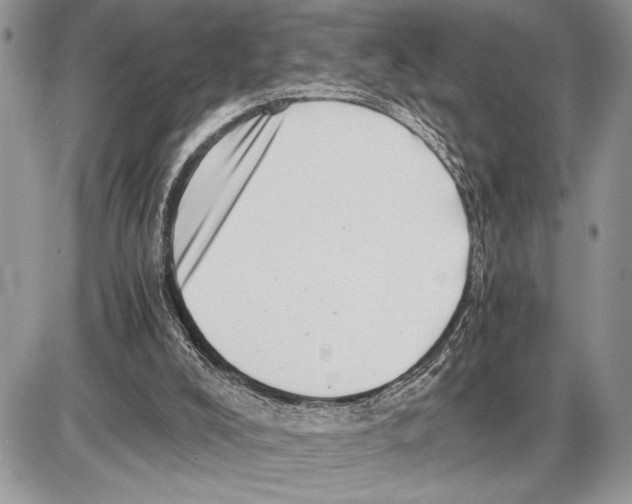 X0000085750008200704131724