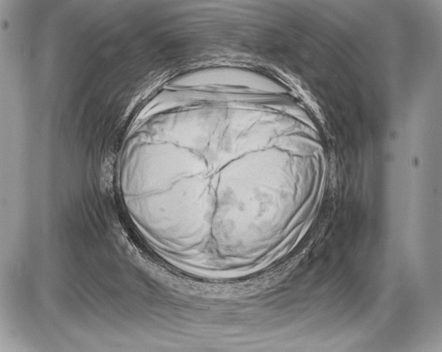 X0000085750010200704131724