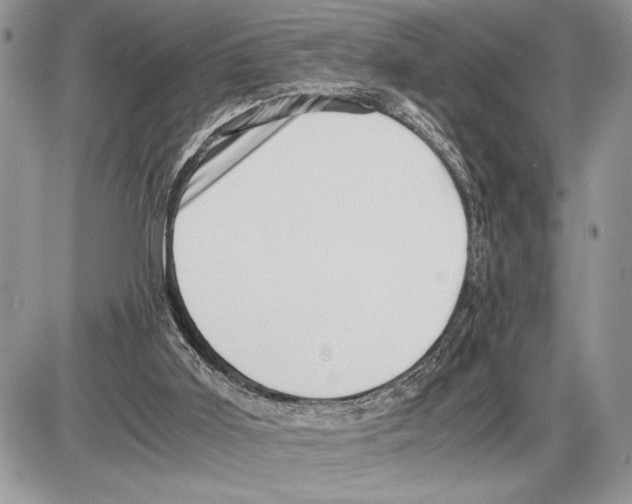 X0000085750011200704131724