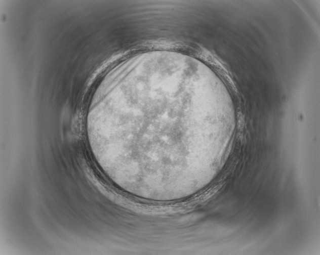 X0000085750012200704131724