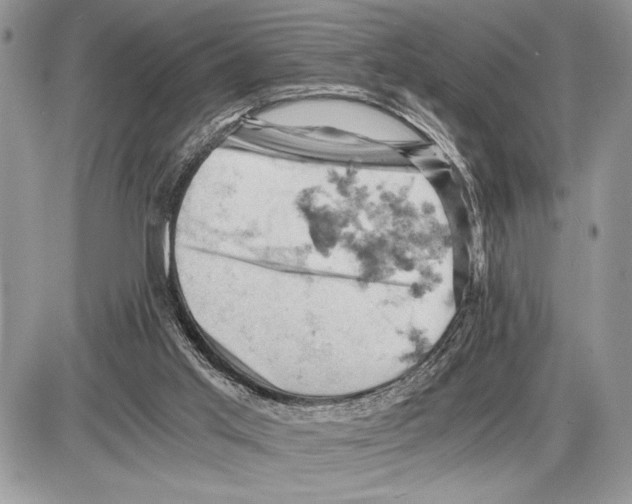 X0000085750013200704131724