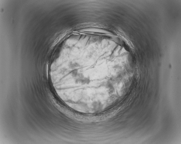 X0000085750014200704131724