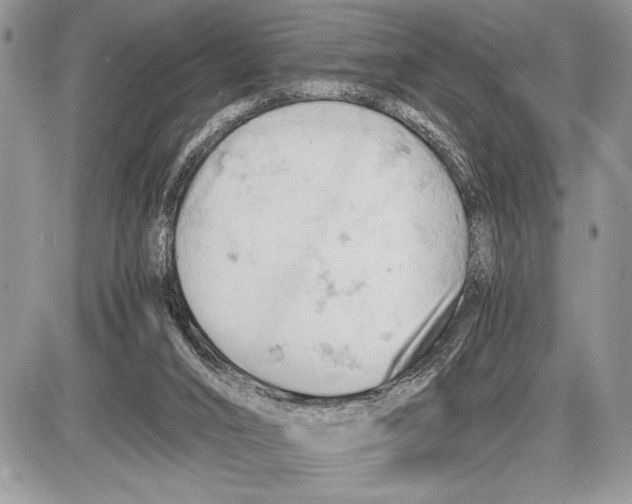 X0000085750016200704131724