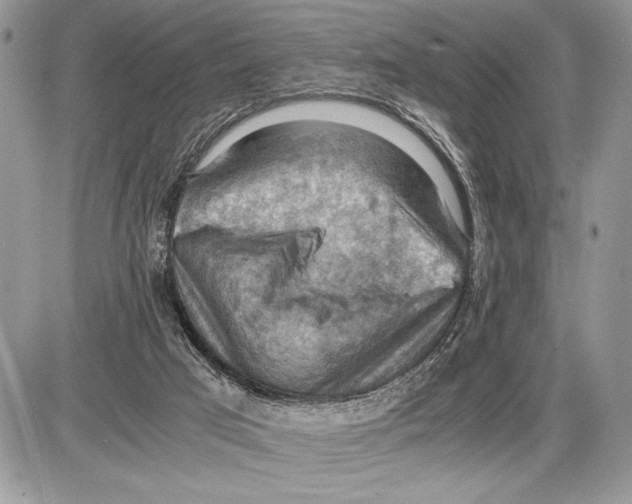 X0000085750017200704131723