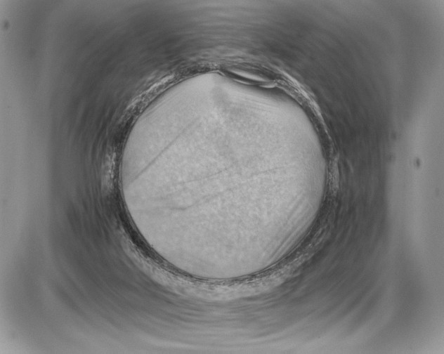 X0000085750018200704131723