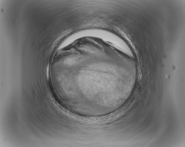 X0000085750019200704131723