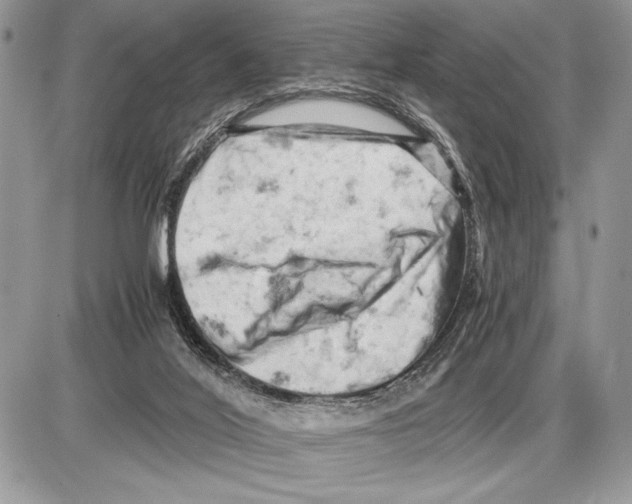 X0000085750020200704131723