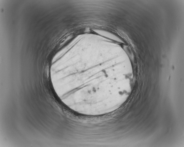 X0000085750021200704131723