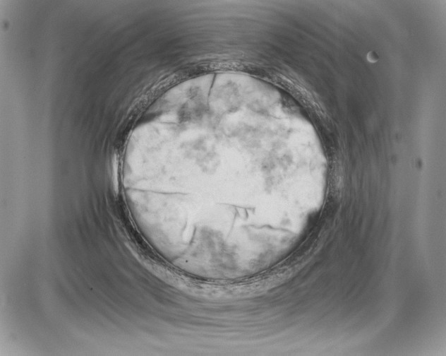 X0000085750022200704131723