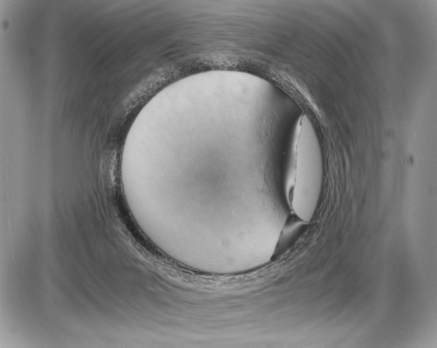 X0000085750023200704131723