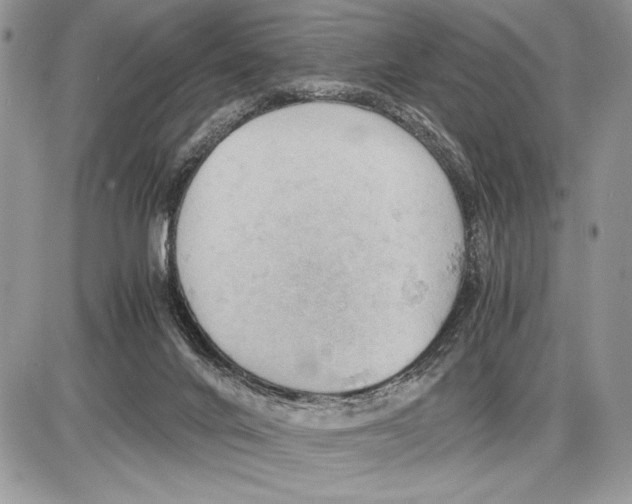 X0000085750024200704131723