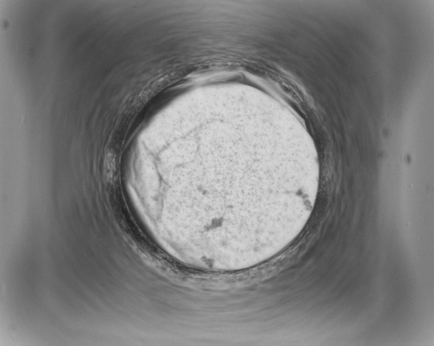 X0000085750025200704131723