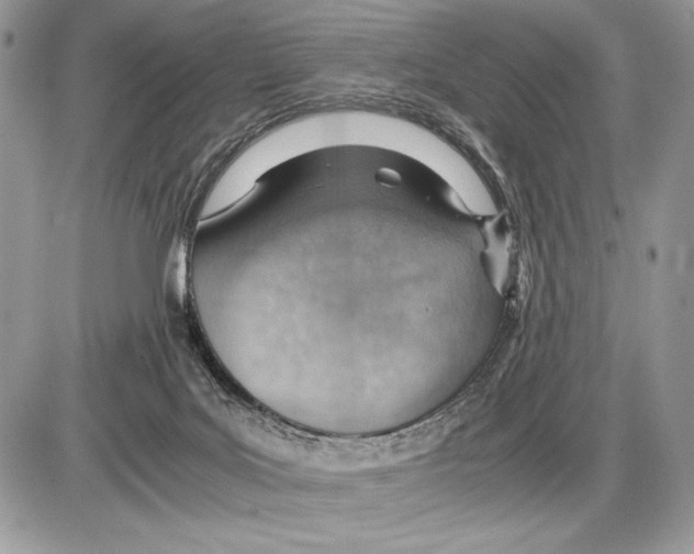 X0000085750027200704131723