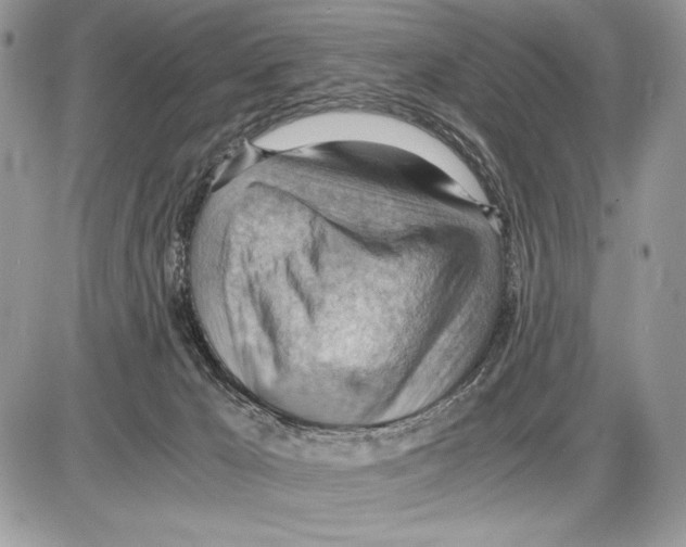 X0000085750029200704131723