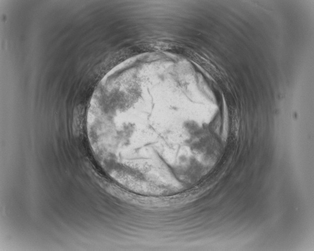 X0000085750030200704131723