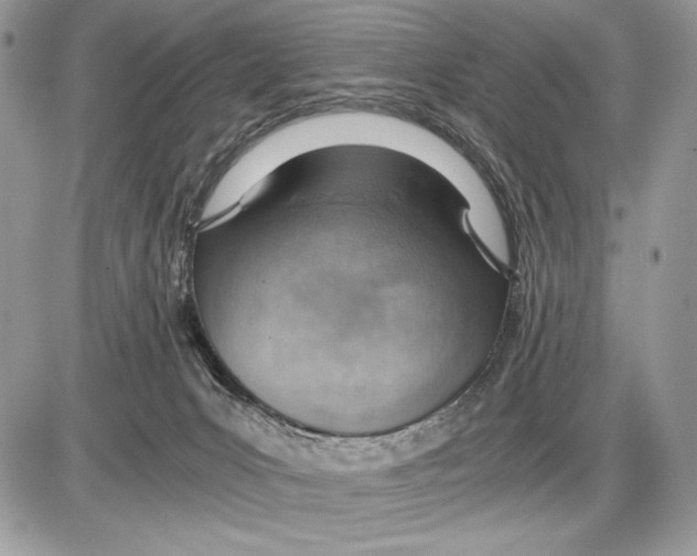 X0000085750031200704131723