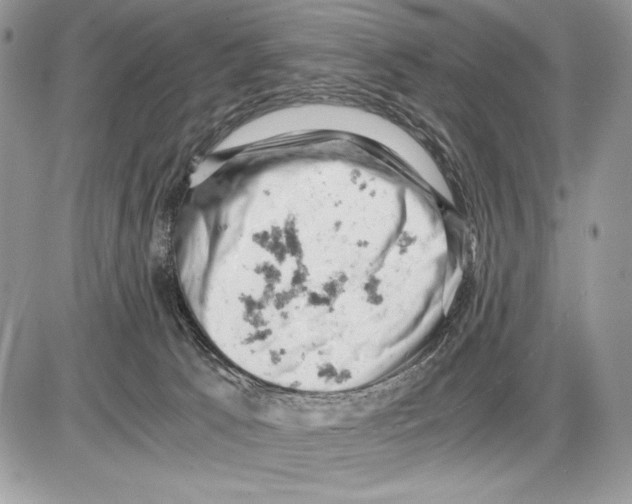 X0000085750033200704131723