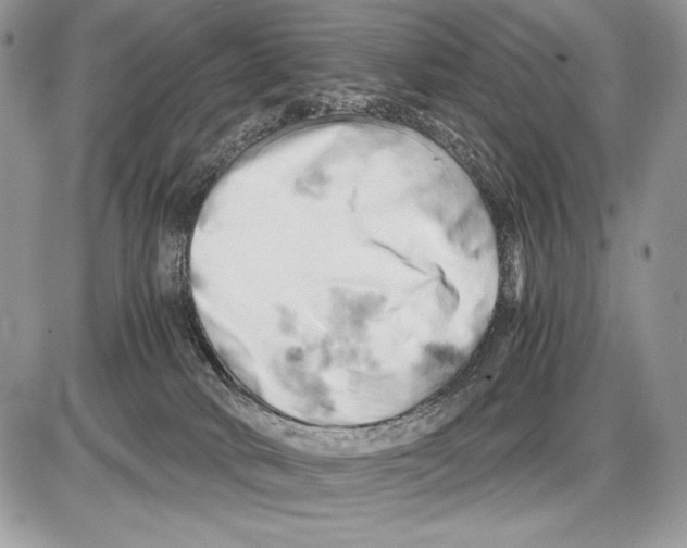 X0000085750034200704131723