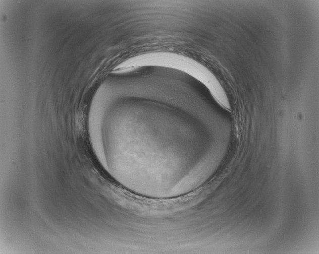 X0000085750035200704131723