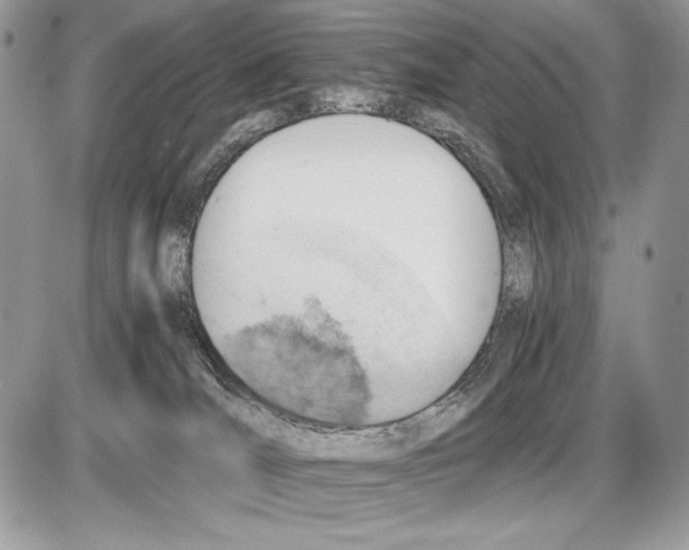 X0000085750036200704131723