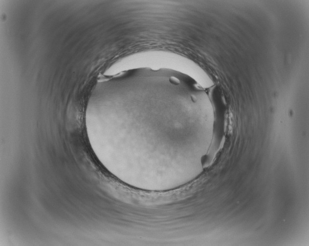 X0000085750039200704131723