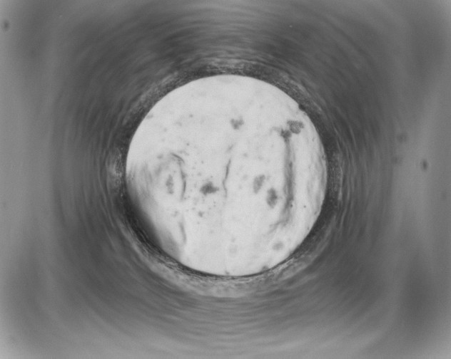 X0000085750040200704131723