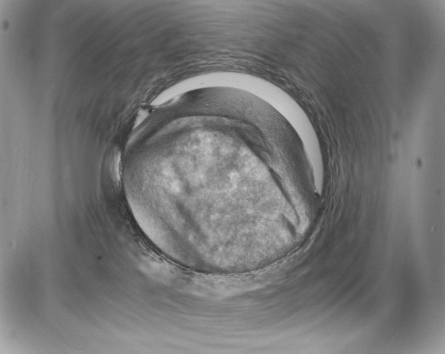 X0000085750041200704131723