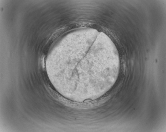 X0000085750042200704131723