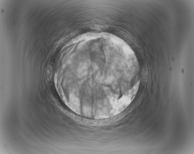 X0000085750043200704131723