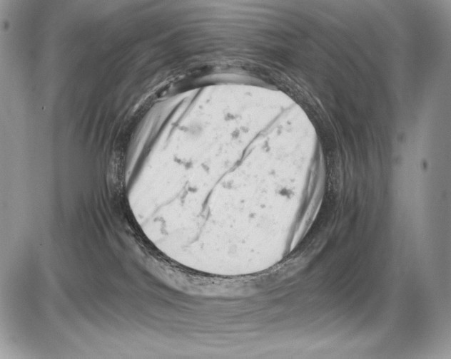 X0000085750044200704131723