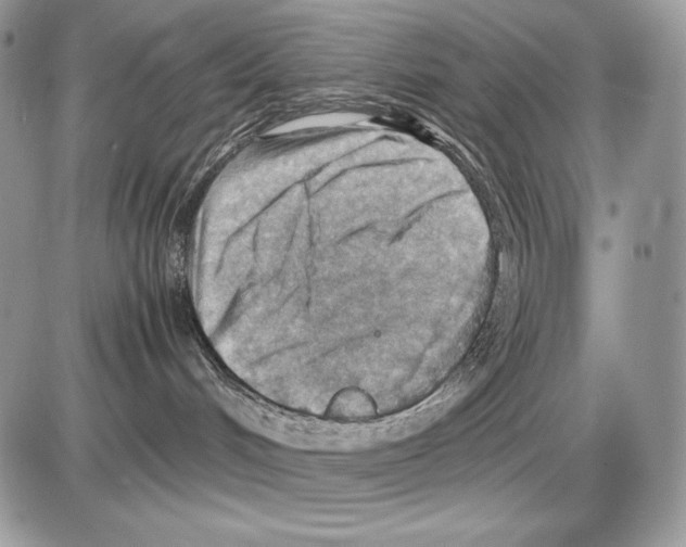 X0000085750048200704131723