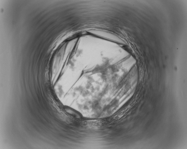 X0000085750050200704131722