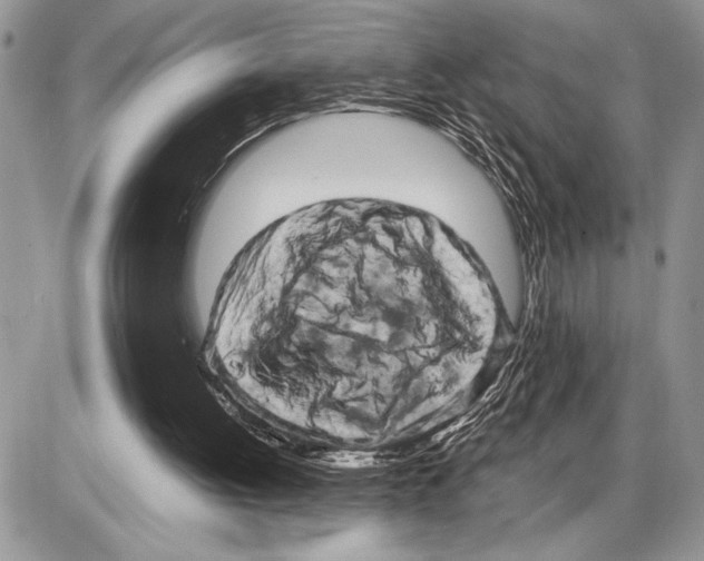 X0000085750052200704131722