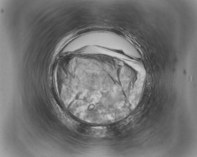 X0000085750053200704131722