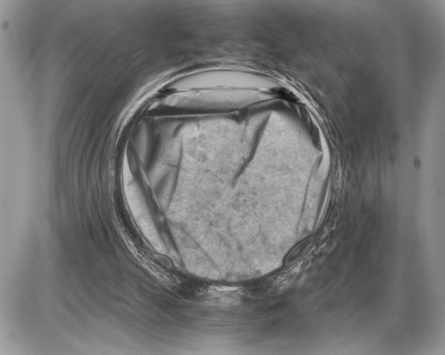 X0000085750055200704131722