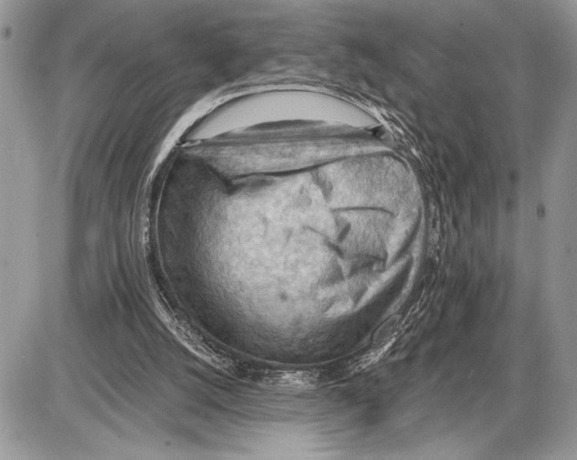 X0000085750056200704131722