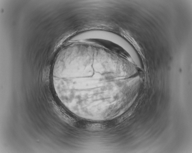 X0000085750058200704131722