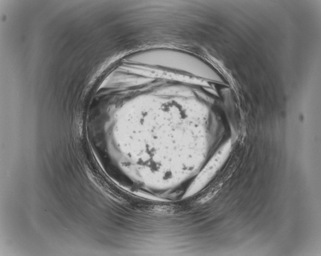 X0000085750060200704131722